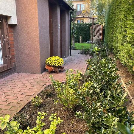 Maly Apartament Z Kuchnia I Lazienka Leilighet Szczecin Eksteriør bilde